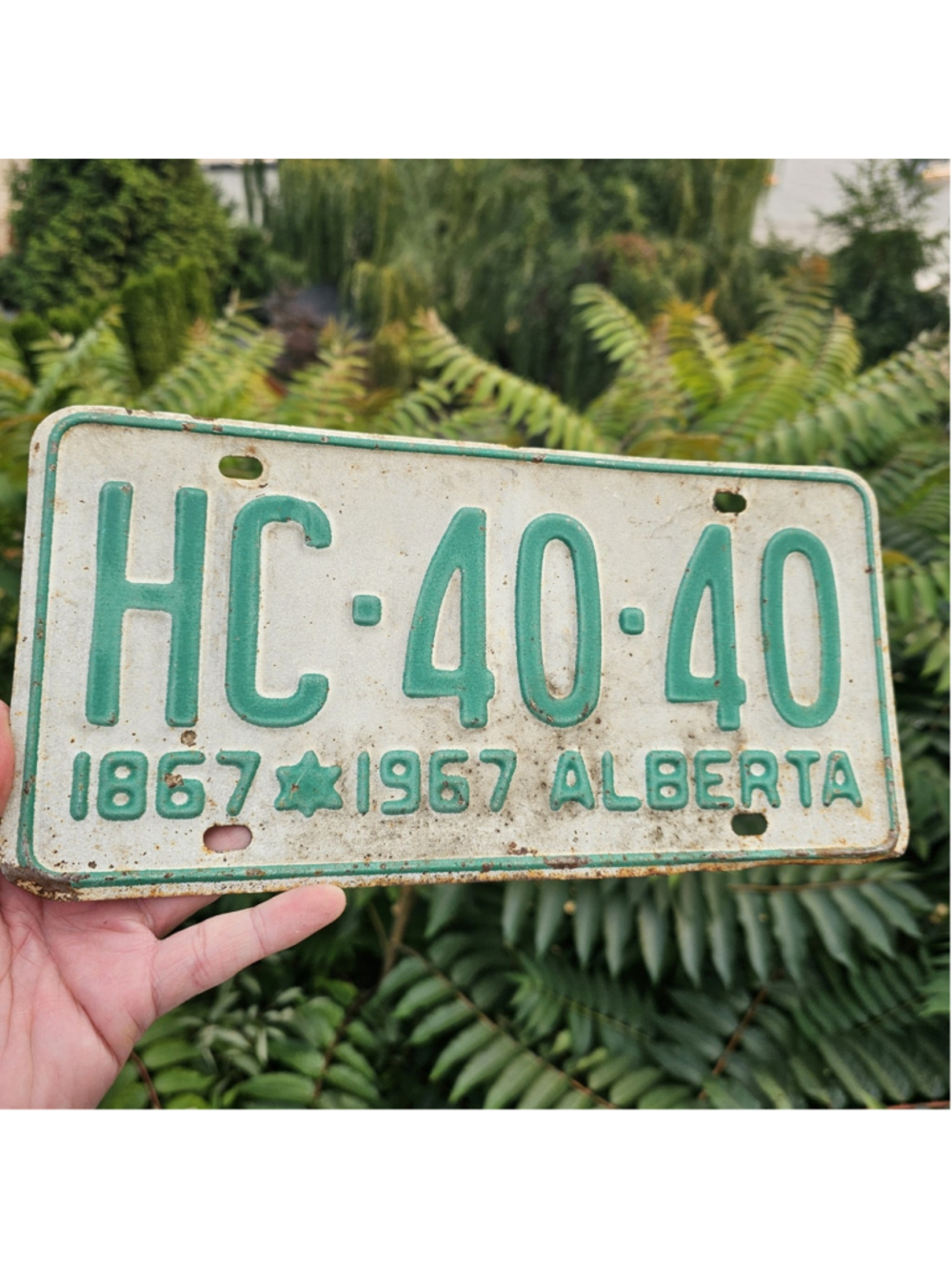 1967 Alberta Centennial License Plate HC-40-40 Vintage White Green Metal Canada